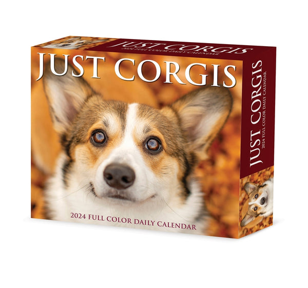 2024 Corgis Box Desktop Calendar